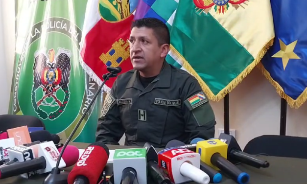 DOS HIJOS GOLPEARON A SU PROPIA MADRE