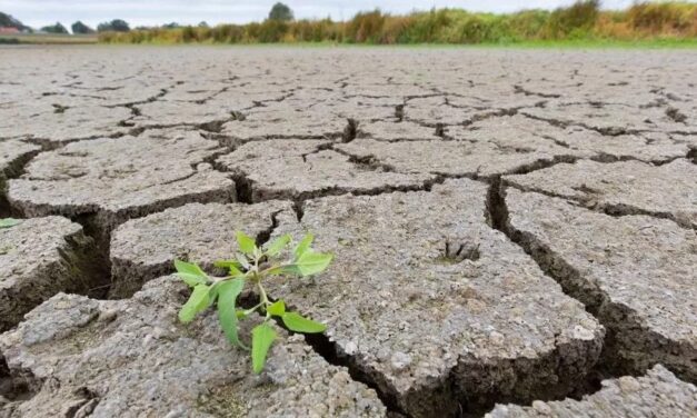 SEQUÍAS Y LLUVIAS SON LA OTRA CARA DE LOS DUROS GOLPES DE LA NATURALEZA