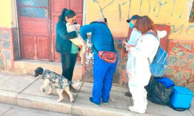 ZOONOSIS ANUNCIA VACUNACIÓN PARA CANES ESTE FIN DE SEMANA