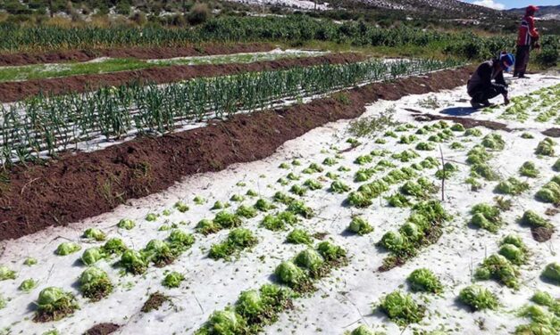 DESASTRES YA AFECTARON A MÁS DE 22 MIL FAMILIAS EN POTOSÍ