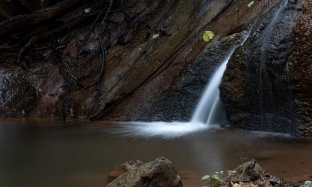 DESVÍO DE UN OJO DE AGUA PONE EN RIESGO LA PRODUCCIÓN DE UNA COMUNIDAD DE YOCALLA