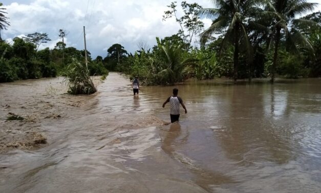 ACTIVAN ALERTAS ROJA Y NARANJA HASTA EL 5 DE ABRIL POR LLUVIA Y CRECIDAS DE RÍOS EN POTOSÍ