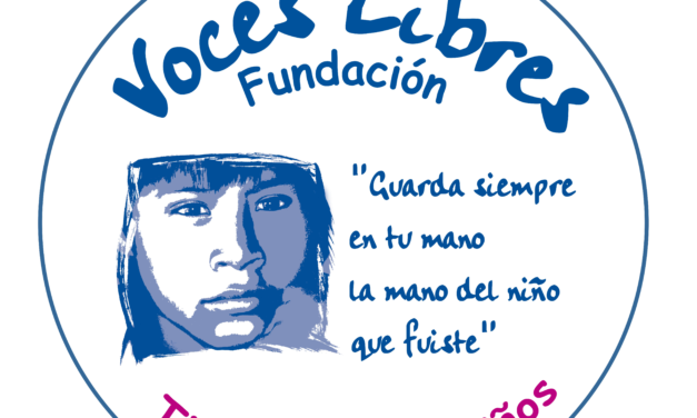 VOCES LIBRES EXHORTA AL ESTADO GARANTIZAR RECURSOS PARA LA PREVENCIÓN Y LUCHA CONTRA LA VIOLENCIA A LAS MUJERES