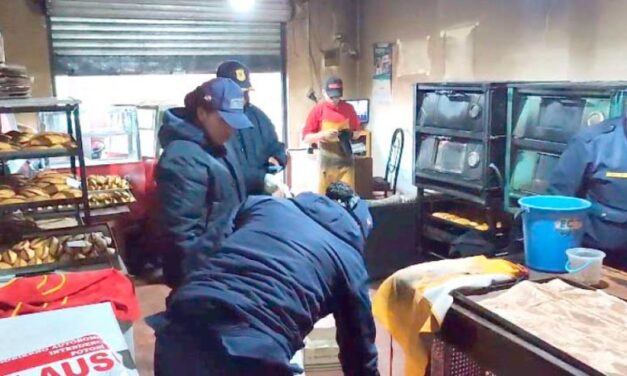 CLAUSURAN DOS LOCALES DE COMIDA EN POTOSÍ TRAS ENCONTRAR HECES DE RATÓN