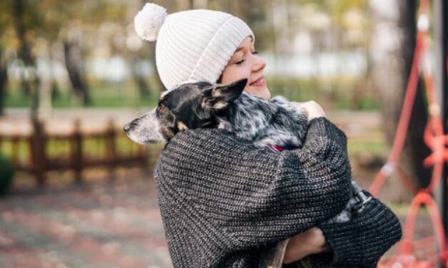 TU PERRO ADENTRO, POTOSÍ CONTENTO» – PIDEN CUIDAR A LAS MASCOTAS ANTE EL FRÍO EXTREMO