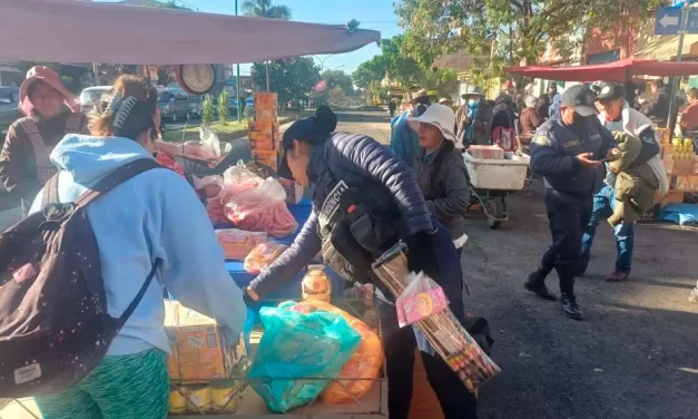 INTENDENCIA MUNICIPAL DECOMISÓ JUEGOS PIROTÉCNICOS Y REALIZÓ CONTROLES SANITARIOS
