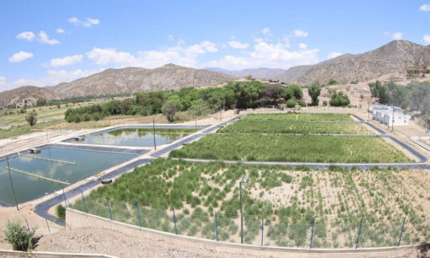 INICIA PROYECTO DE AGUA POTABLE EN COTAGAITA