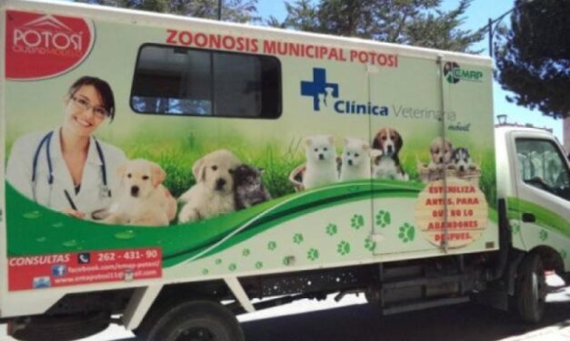 CAMPAÑAS DE ESTERILIZACIÓN DE ANIMALES CONTINÚAN EN POTOSÍ