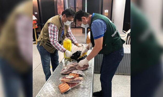 SENASAG REFUERZA CONTROLES POR CORPUS CHRISTI PARA EVITAR EL INGRESO DE PRODUCTOS NO APTOS