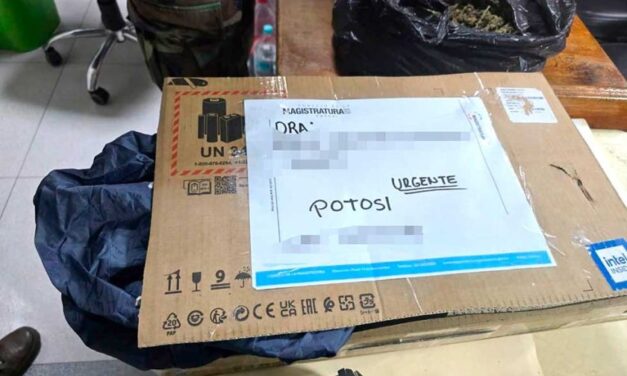 ENCOMIENDA CON MARIHUANA LLEGA A OFICINA PÚBLICA Y FUNCIONARIA ES APREHENDIDA EN POTOSÍ
