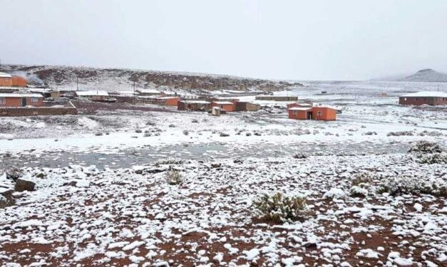 FRÍO EXTREMO EN EL SUDOESTE POTOSINO: SE REGISTRAN TEMPERATURAS DE HASTA 18 GRADOS BAJO CERO
