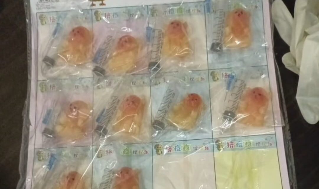 INTENDENCIA DECOMISA JERINGAS VENDIDAS A NIÑOS COMO “JUGUETE” JUNTO A OSOS DE GOMA