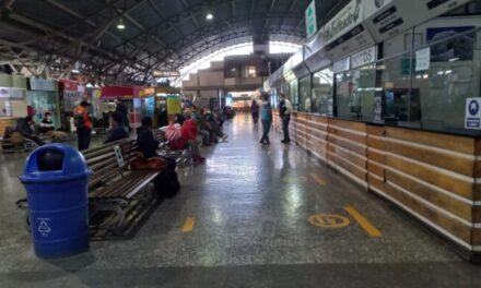 ATENCIÓN: SUSPENSIÓN TEMPORAL DE VIAJES ESTE DOMINGO POR EL DÍA DEL PEATÓN