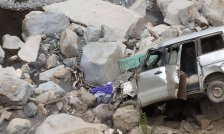 TRÁGICO ACCIDENTE: MUERE JOVEN DE 24 AÑOS MIENTRAS ENSEÑABA A MANEJAR A SU HERMANO
