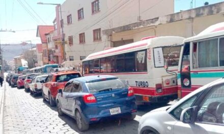 TRANSPORTE LIBRE DENUNCIA FILAS EN SURTIDORES Y ADVIERTE GRAVES PERJUICIOS