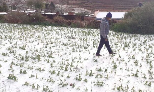LAS LLUVIAS YA COMIENZAN A AFECTAR LOS CULTIVOS EN POTOSÍ