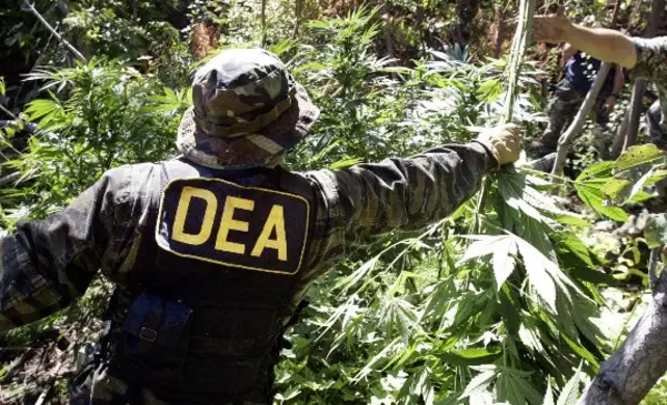 COMCIPO RESPALDA EL RETORNO DE LA DEA A BOLIVIA