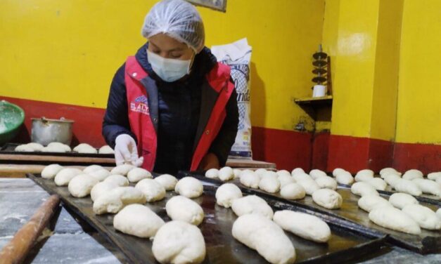 INTENDENCIA INTENSIFICA CONTROLES EN HORNOS UTILIZADOS PARA LA ELABORACIÓN DE MASITAS TRADICIONALES