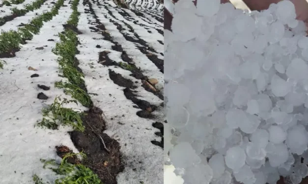 FUERTES GRANIZADAS AFECTARON A VARIAS COMUNIDADES DE CHAQUI Y RAVELO