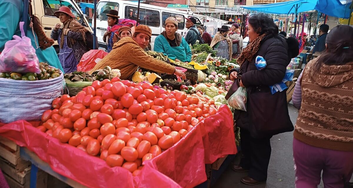 SUBEN LOS PRECIOS DEL TOMATE Y LA ARVEJA EN POTOSÍ