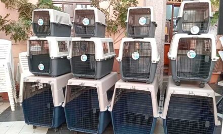 ENTREGAN EQUIPAMIENTO A LA UNIDAD MUNICIPAL DE ZOONOSIS