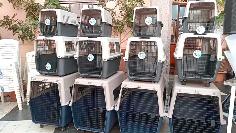 ENTREGAN EQUIPAMIENTO A LA UNIDAD MUNICIPAL DE ZOONOSIS