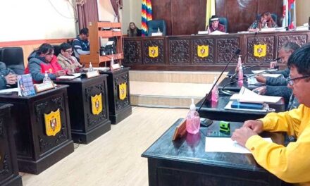CONCEJO MUNICIPAL DEBE APROBAR HOY LA NUEVA LEY DEL PASAJE