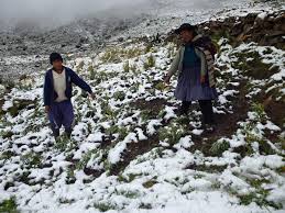 GRANIZADAS Y HELADAS CASTIGAN A FAMILIAS DE RAVELO Y LLALLAGUA