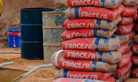 ¿DÓNDE ESTÁN LAS 10.800 BOLSAS DE CEMENTO QUE NUNCA INGRESARON AL MUNICIPIO?