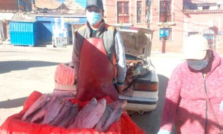 INTENDENCIA MUNICIPAL REFUERZA LOS CONTROLES DE INOCUIDAD ALIMENTARIA POR SEMANA SANTA EN POTOSÍ