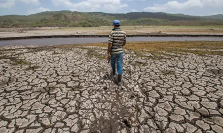 SIETE MUNICIPIOS DE POTOSÍ SON AFECTADOS POR LA SEQUÍA