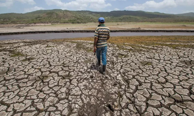 SIETE MUNICIPIOS DE POTOSÍ SON AFECTADOS POR LA SEQUÍA