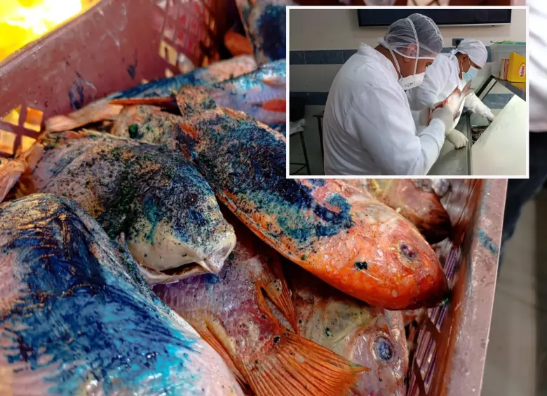 DECOMISAN PESCADOS Y ENLATADOS EN MAL ESTADO DURANTE OPERATIVOS DE SEMANA SANTA