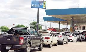VUELVEN LAS FILAS A LOS SURTIDORES Y EL TRANSPORTE SOLO FUNCIONA AL 60%