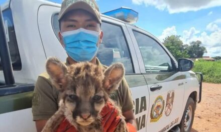 POFOMA REDUCE EL TRÁFICO DE ANIMALES SILVESTRES EN POTOSÍ