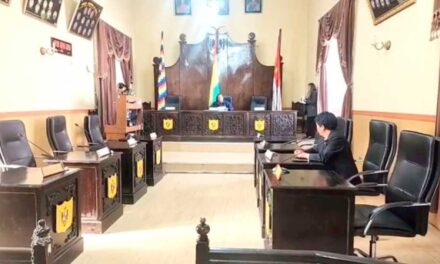 ONCE CONCEJALES TITULARES ASUMEN SUS FUNCIONES EN POTOSÍ