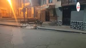 CONTINÚAN LOS CONTROLES A INFRACTORES POR BOTAR BASURA EN POTOSÍ