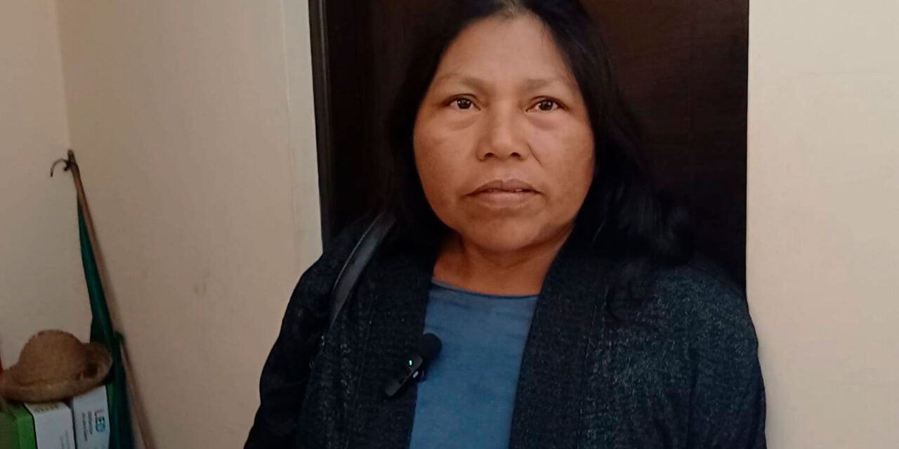 “Nuestro mayor temor es perder la tierra”: la marcha que llegó a La Paz