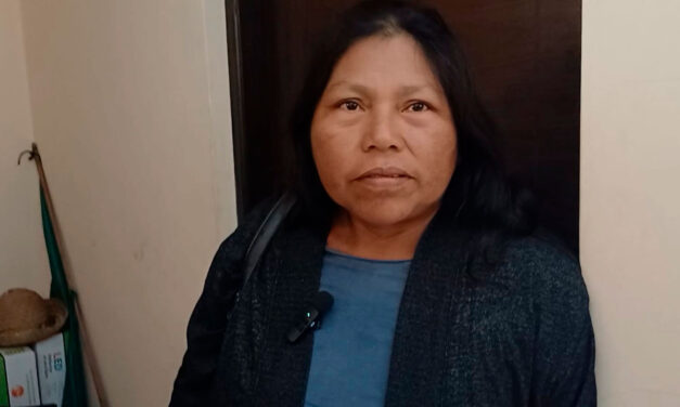 “Nuestro mayor temor es perder la tierra”: la marcha que llegó a La Paz