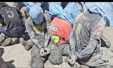 REVELAN QUE GRUPOS DE JUKUS ESTÁN CONFORMADOS POR MENORES DE EDAD Y DEFENSORÍA ALERTA A PADRES DE FAMILIA