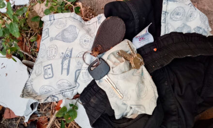 Policía rastrea y captura al presunto autor del feminicidio de Chulumani