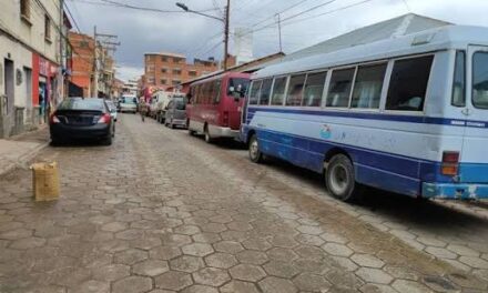 TRANSPORTE PESADO EXPRESA SU MOLESTIA POR LAS LARGAS FILAS PARA ABASTECERSE DE CARBURANTES EN POTOSÍ