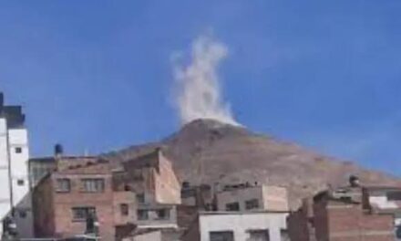 VOLUNTARIADO EXIGE A LAS AUTORIDADES ASUMIR ACCIONES URGENTES PARA PRESERVAR EL CERRO RICO DE POTOSÍ