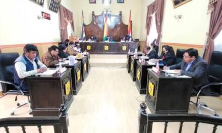 COMISIONES DEL CONCEJO MUNICIPAL DE POTOSÍ REVISAN ARTÍCULOS DE LA LEY DE LA FESTIVIDAD DE CH’UTILLOS