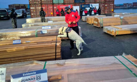 Caso maderas: Exportadores bolivianos están susceptibles con Chile y pretenden que se restaure su reputación