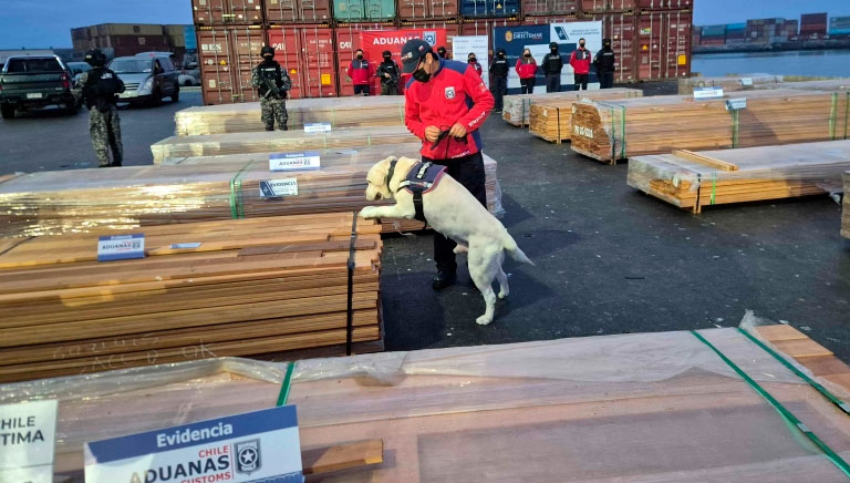 Caso maderas: Exportadores bolivianos están susceptibles con Chile y pretenden que se restaure su reputación